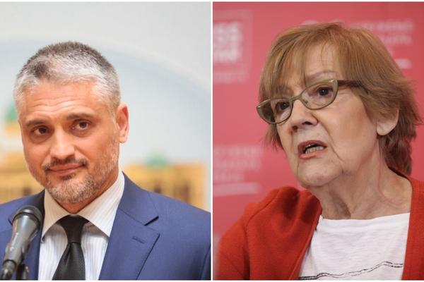 PROBALA SAM S PREVASPITANJEM, ALI JE VEĆ BIO ISKVAREN! Vesna Pešić najstrašnije isprozivala Čedu Jovanovića!