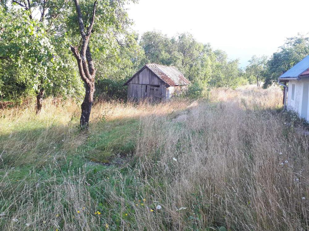 Napuštene kuće u Donjem Lapcu