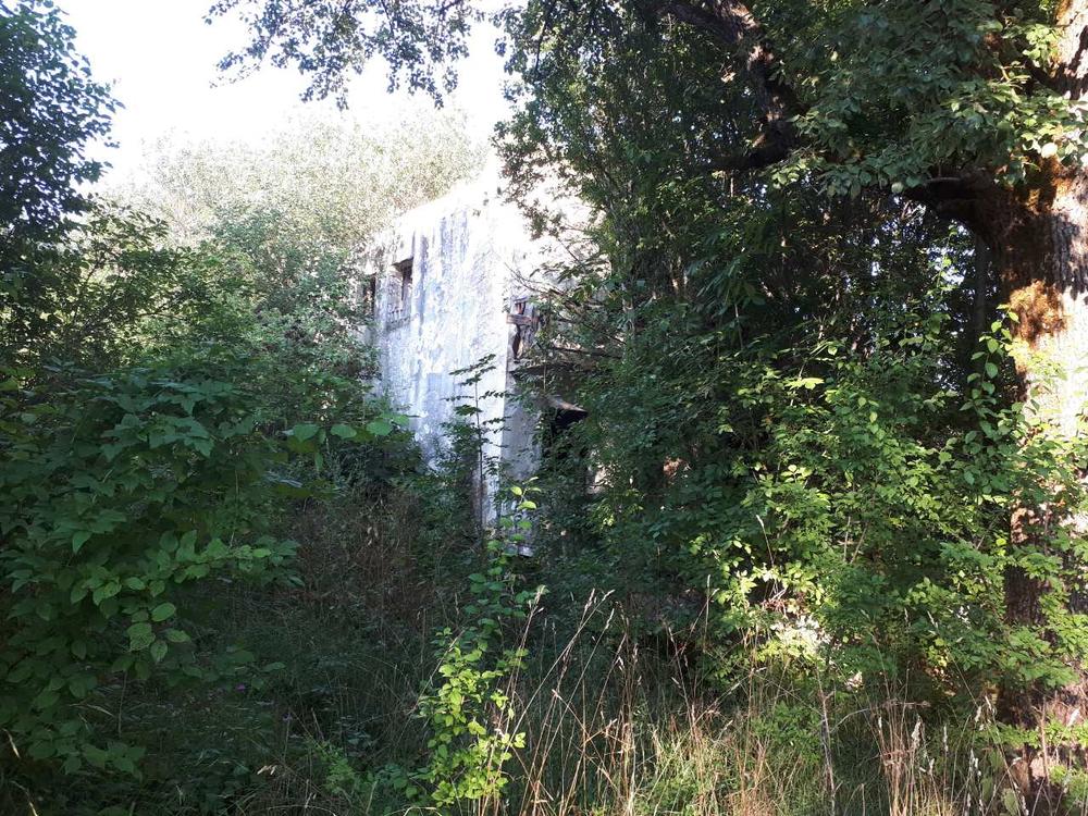 Iz rastinja se samo naziru zidovi nekadašnjih kuća  