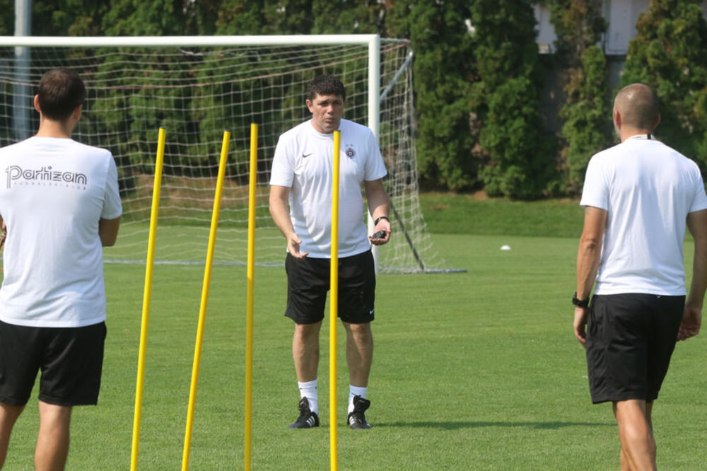 GORI TVITER POSLE IMENOVANJA PETRIĆA ZA TRENERA: Grobari u šoku, pa bolje da su nam ostavili Stolicu!