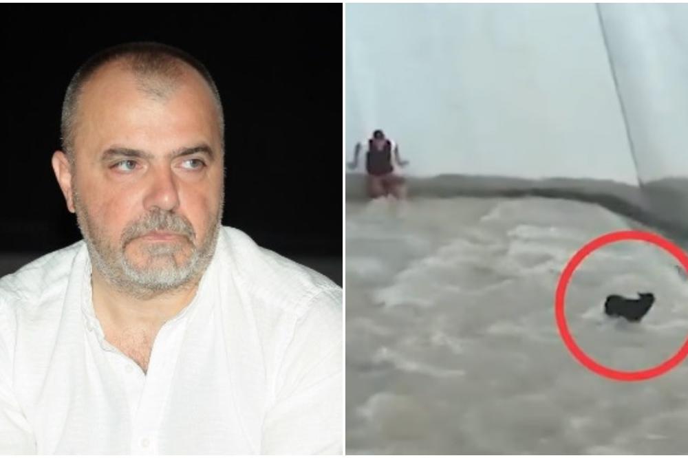 PRVO DA SE UTVRDI DA LI JE PAS SRBIN, HRVAT ILI BOŠNJAK! Nikola Kojo okačio snimak spašavanja ŽIVOTINJE, pa ga preveo na SRPSKI! (VIDEO)