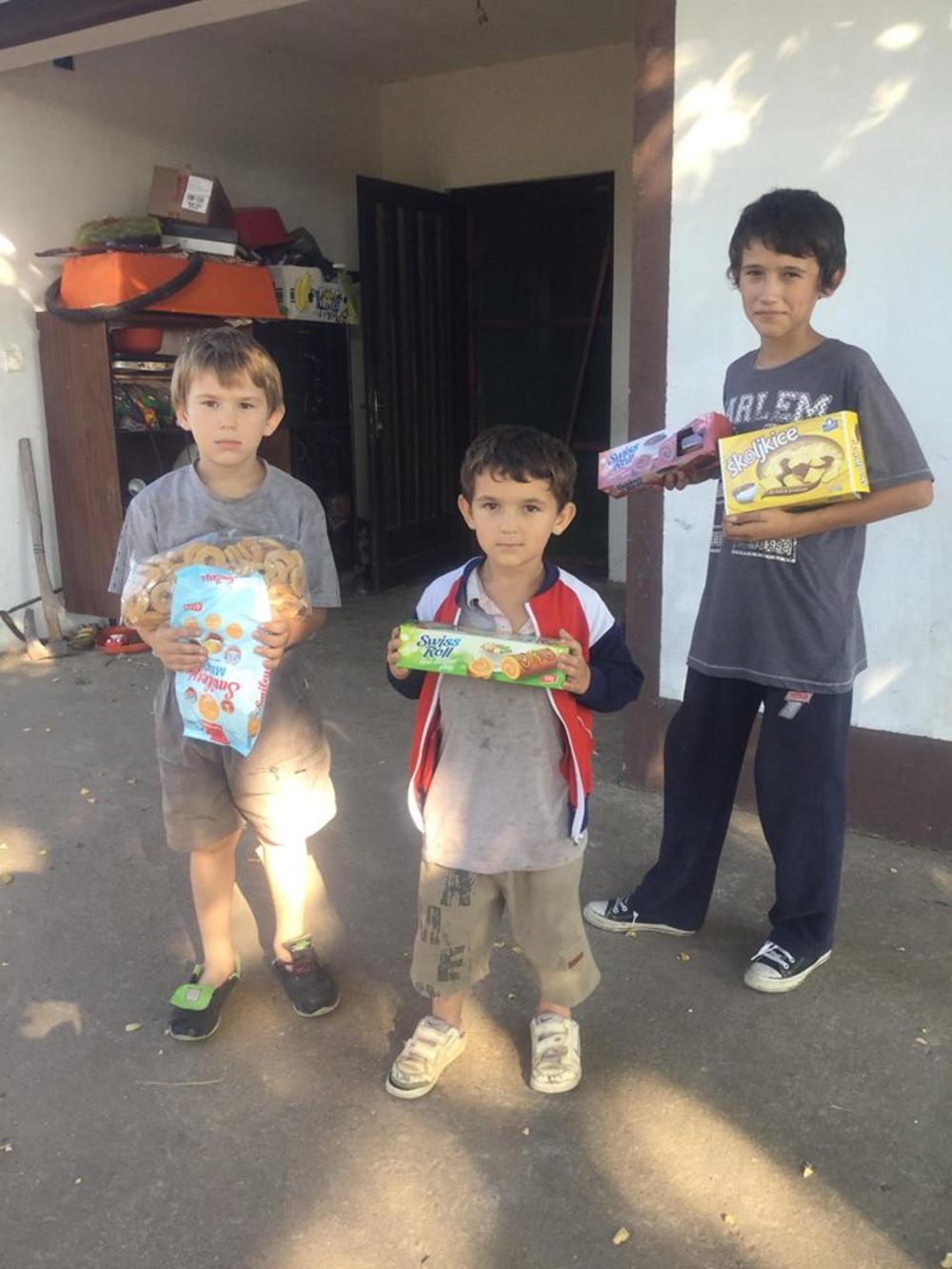 Porodica Ilić, selo Šušare  