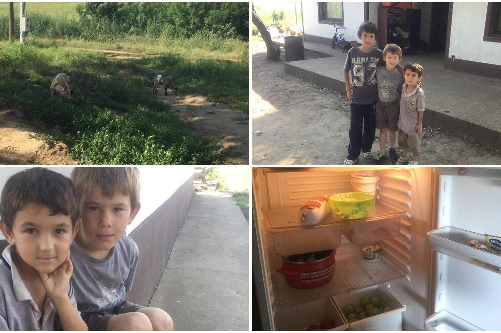 UROŠA (13), JOVANA (5) i IVANA (7) TATA JE NAPUSTIO, A MAMA IM JE U BOLNICI: Ovo su NAJTUŽNIJA DECA U SRBIJI, sve što im je ostalo na CELOM SVETU je KOZICA koja ih hrani mlekom! (FOTO)