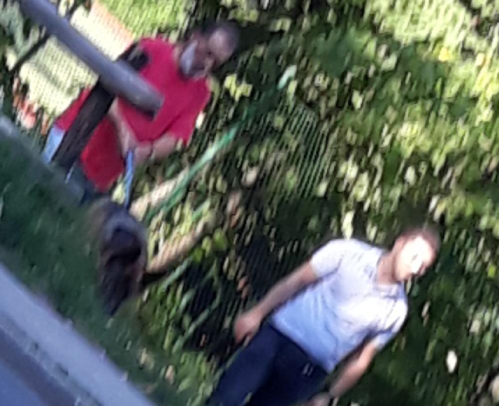 Vuk u šetnji sa svojim ljubimcem  