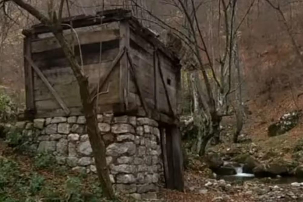 VAMPIR DOVEO DO SVAĐE DVA SELA: Pitamo se čiji je Sava Savanović?