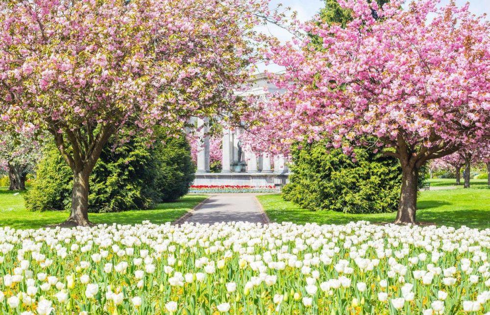 I boravak u parku pomaže 
