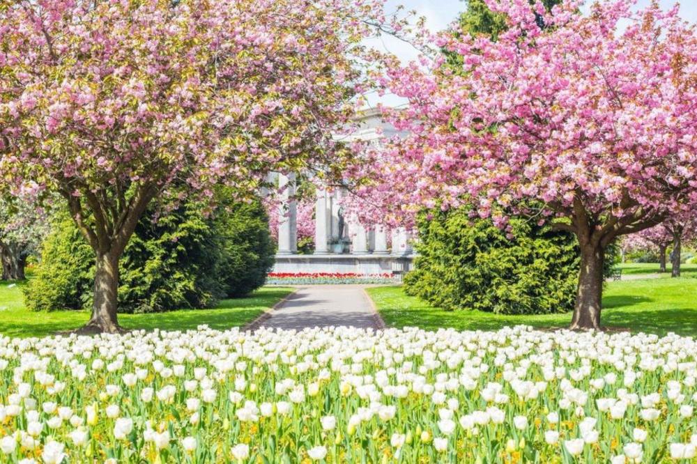 ORGIJE U PARKU USRED BELA DANA: Prvo su se njih dve zadovoljavale, a ja nisam mogao da prestanem da ih gledam! (FOTO ZA ODRASLE)