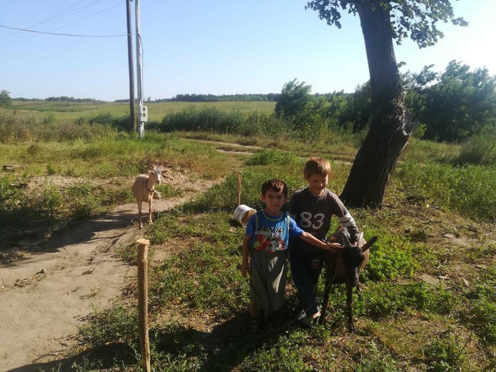 Mladi poljoprivrednici, selo Šušara    