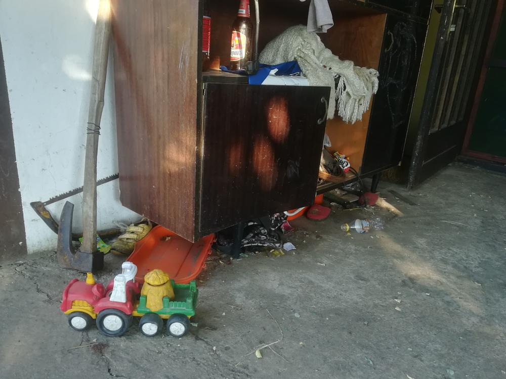 Porodična kuća porodice Ilić  