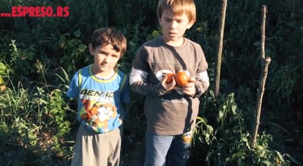 Mladi poljoprivrednici, selo Šušara    