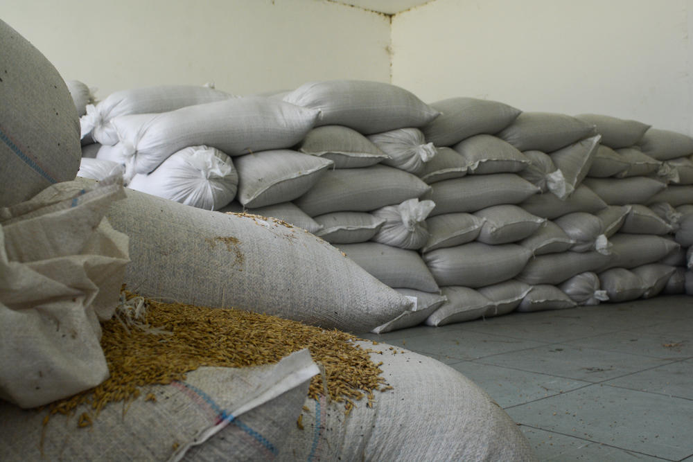 Pšenica umesto đačkih klupa  