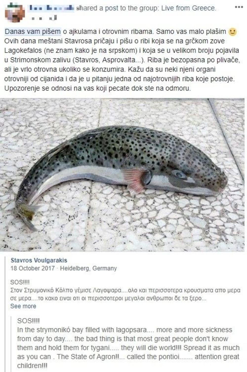 Jedna od najotrovnijih vrsta riba – fugu, upozorenje   