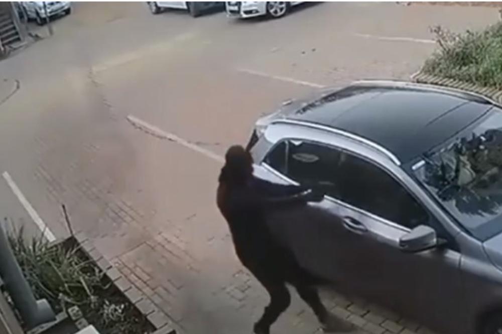 KAO DA GLEDATE AKCIONI FILM: Pokušali da ukradu automobil, ali reakcija vozača ih je ostavila u ČUDU! Sigurnosna kamera sve zabeležila! (VIDEO)