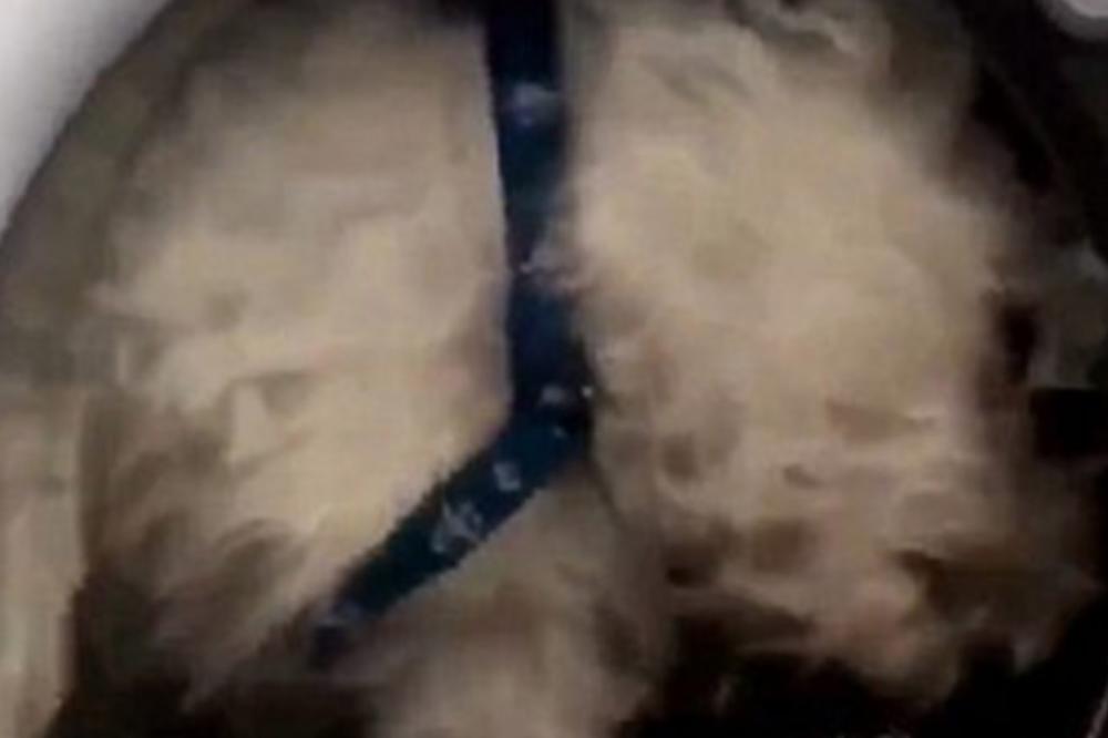 ZA SVAKU OSUDU: Stavila psa u veš mašinu zarad popularnosti na društvenim mrežama, a samo je uspela da izazove GNEV! (VIDEO)