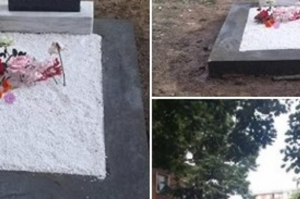 Meštani Kraljeva podigli SPOMENIK PSU u centru naselja koje je čuvao! Žuća bi preživeo da ga nisu otrovali! (FOTO)