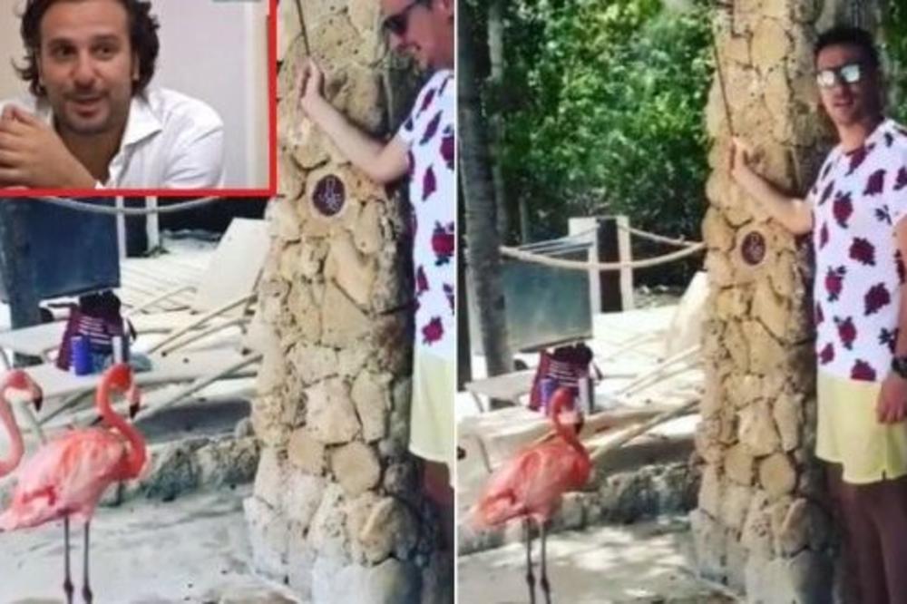PREKO 120.000 PREGLEDA! Andrija Milošević objavio snimak sa FLAMINGOSIMA, prisetio se Marinka Madžgalja