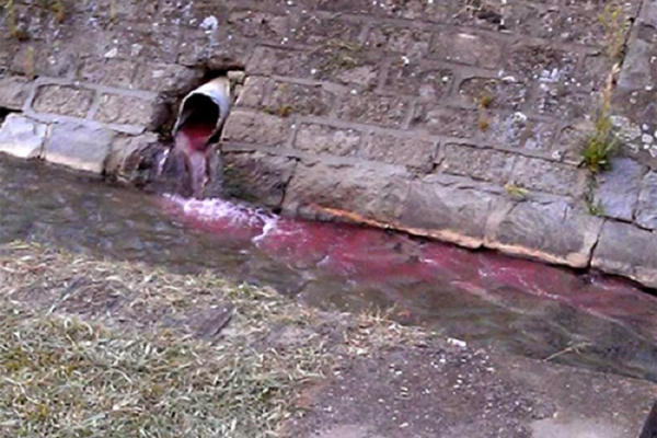 REKA U CENTRU VRANJA CRVENA OD KRVI? Novi ekološki incident pored gradske pijace, GRAĐANI U ŠOKU! (FOTO)
