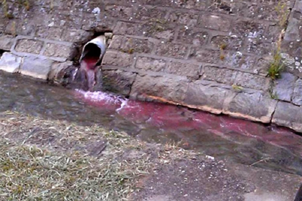 REKA U CENTRU VRANJA CRVENA OD KRVI? Novi ekološki incident pored gradske pijace, GRAĐANI U ŠOKU! (FOTO)