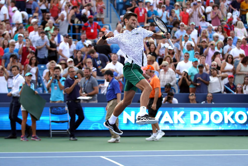 Najbolji srpski teniser, Novak Đoković  