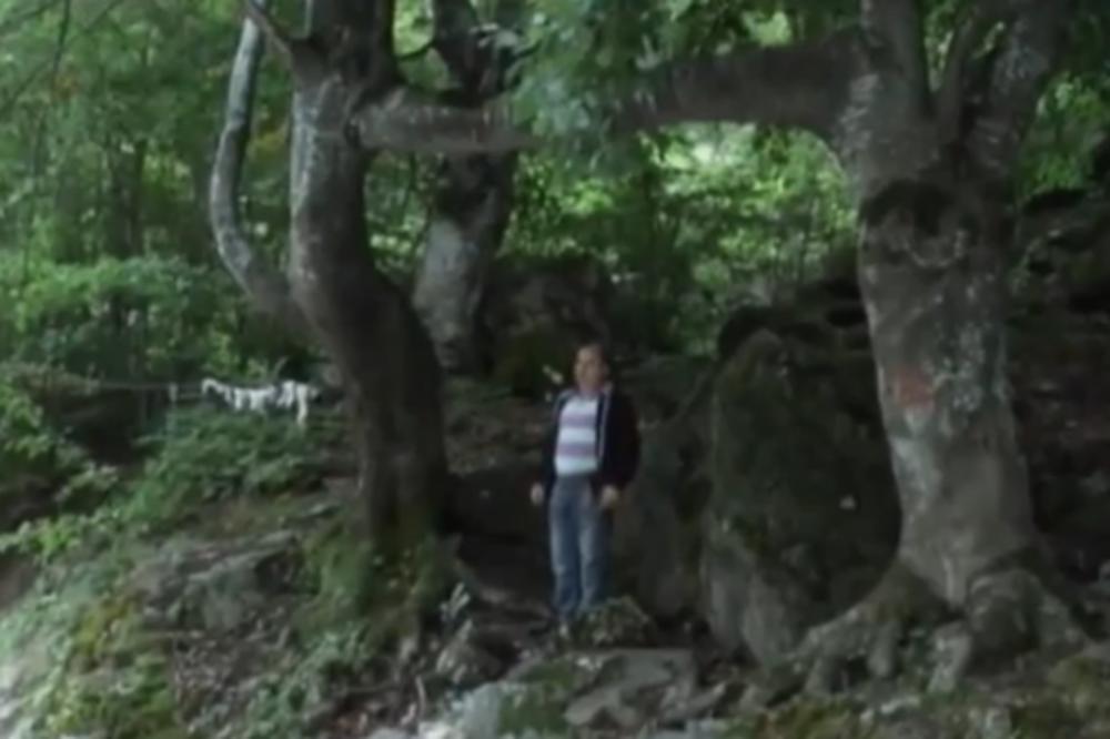 Ljubavne bukve pokraj Studenice učvršćuju VEZE: Pod ovim stablima LJUBAV postaje JAKA, a mnogi BRAKOVI su opstali više od VEKA! (VIDEO)