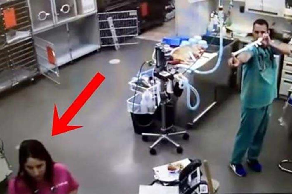 HTEO JE DA GAĐA MEDICINSKU SESTRU RUKAVICOM: Ono što se zatim desilo nasmejaće vas do suza! (VIDEO)