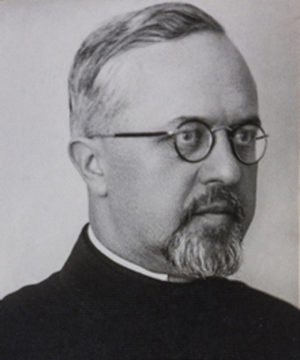 Avantura Radoslava Grujića  