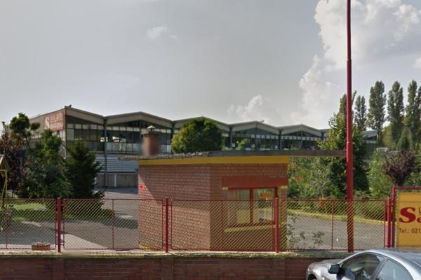 VILJUŠKAR UBIO RADNIKA (43)! Strava i užas u Bačkoj Palanci