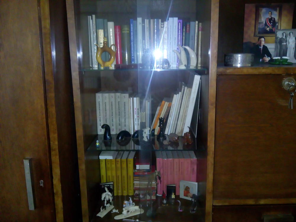 Knige i figurice njene tetke koje je sačuvala za sebe, sve ostalo su naslednici ustupili Zadužbini Desanka Maksimović ćiji su suosnivači  