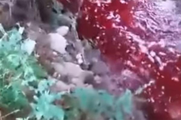 NEKI SU BESNI NA KLANICE, DRUGI POMINJU LJUDSKU KRV? Crvena reka teče Prištinom, nikome nije jasno šta se dešava? (VIDEO)