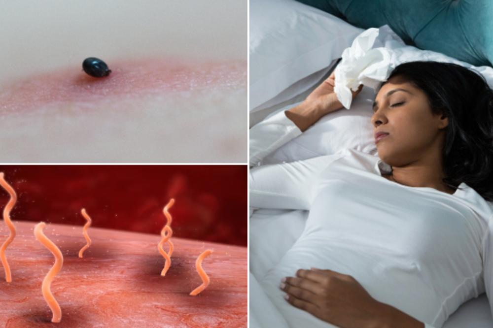 LEKARI SU MI REKLI DA ME JE UJELA NEKA BUBA: 7 dana kasnije počela je BORBA ZA ŽIVOT (FOTO) (VIDEO)