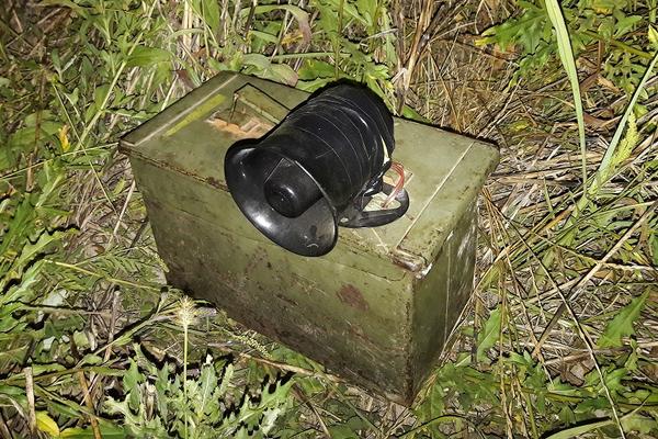 KRIVOLOV NE JENJAVA: Srbija je i dalje gubilište za ptice selice! (FOTO)