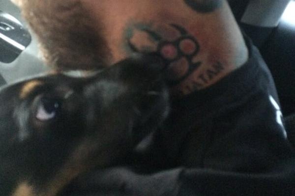 NEĆE JE VIŠE NIKO NIKAD UDARATI: Posle KRVNIČKOG MALTRETIRANJA malog psa, LEVIJATAN JE uzeo stvar u SVOJE RUKE! (FOTO) (VIDEO)