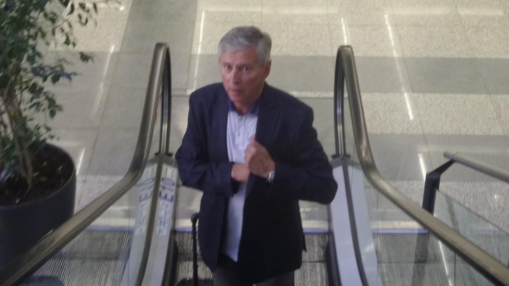 Vladimir Petrović Pižon  