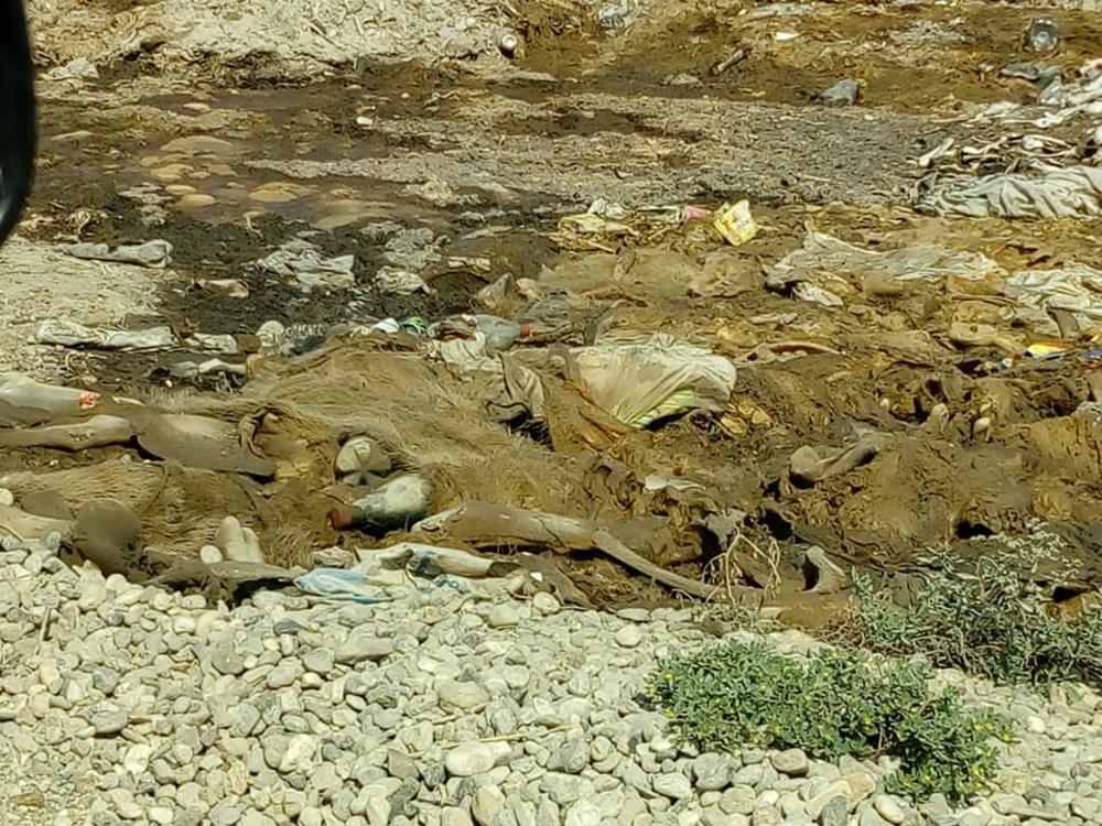 Reka MORAVA je postala SMETLIŠTE u kojem se nalazi OTPAD IZ KLANICE   