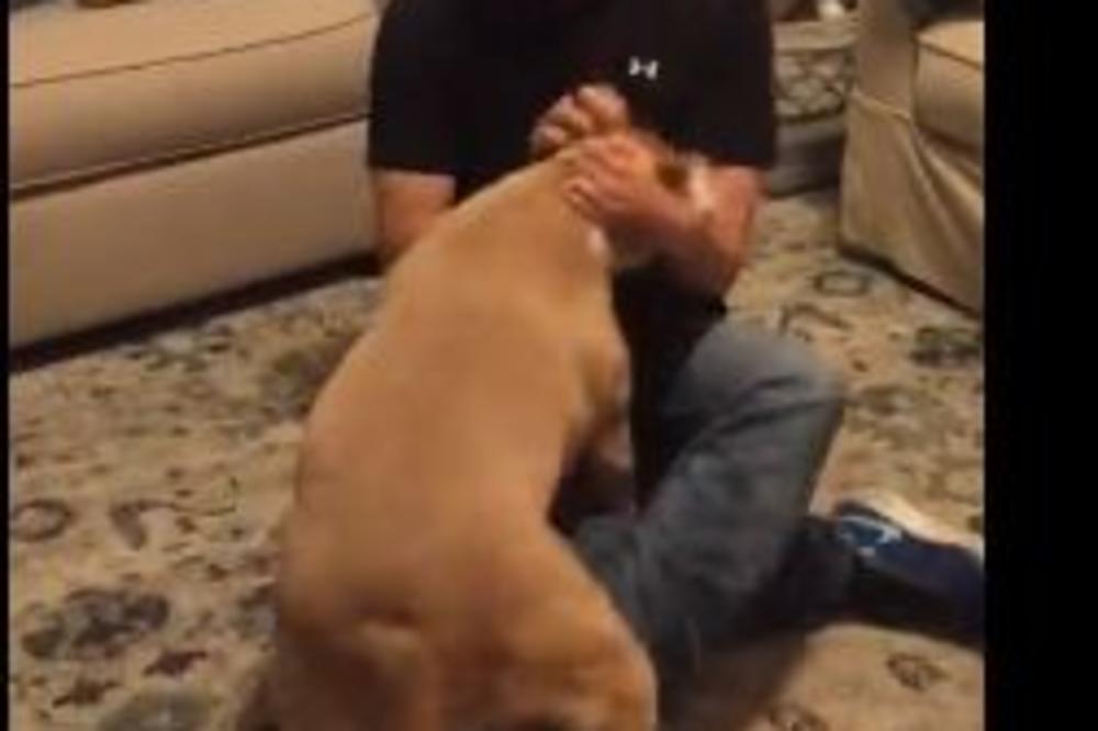 SEO JE NA POD, a njegov PITBUL je tada POTPUNO IZGUBIO SVAKU KONTROLU! (VIDEO)