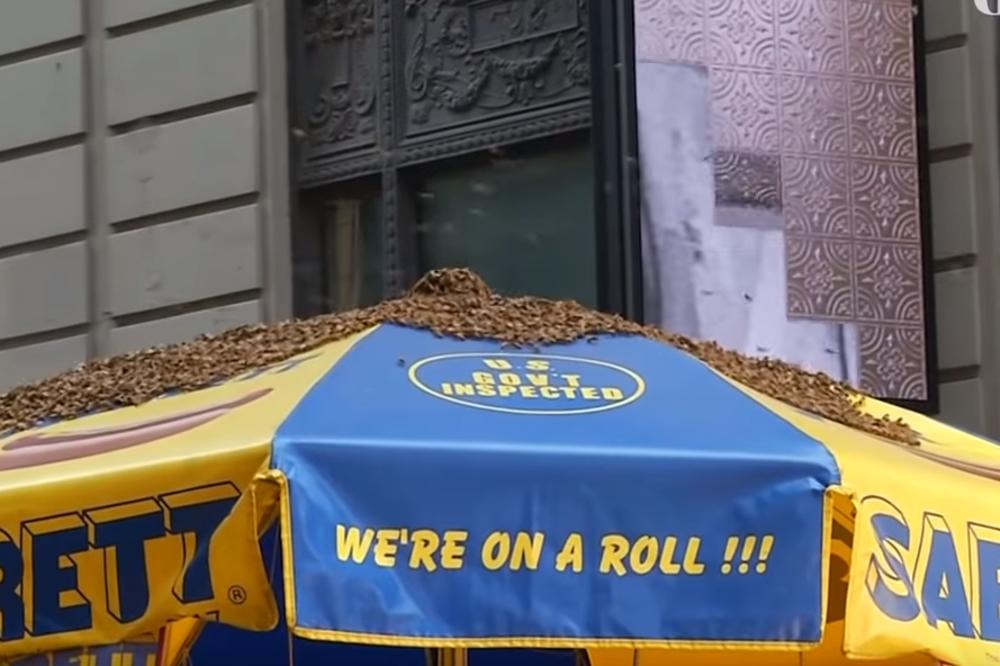 40.000 PČELA OPKOLILO  SUNCOBRAN U CENTRU GRADA: Turisti bežali glavom bez obzira, policija blokirala ulice! (VIDEO)