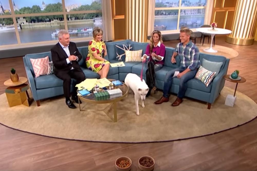 BILA JE UVERENA DA JE PSA NAUČILA DA BUDE VEGETERIJANAC: Njen haski joj je pokazao da GREŠI pred milionskim auditorijumom! (VIDEO)