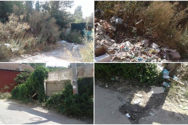 TO SE ZOVE DEPONIJA: Pogledajte kako izgleda SRAMOTNI SOKAK koji nosi ime Olivera Ivanovića! (FOTO)