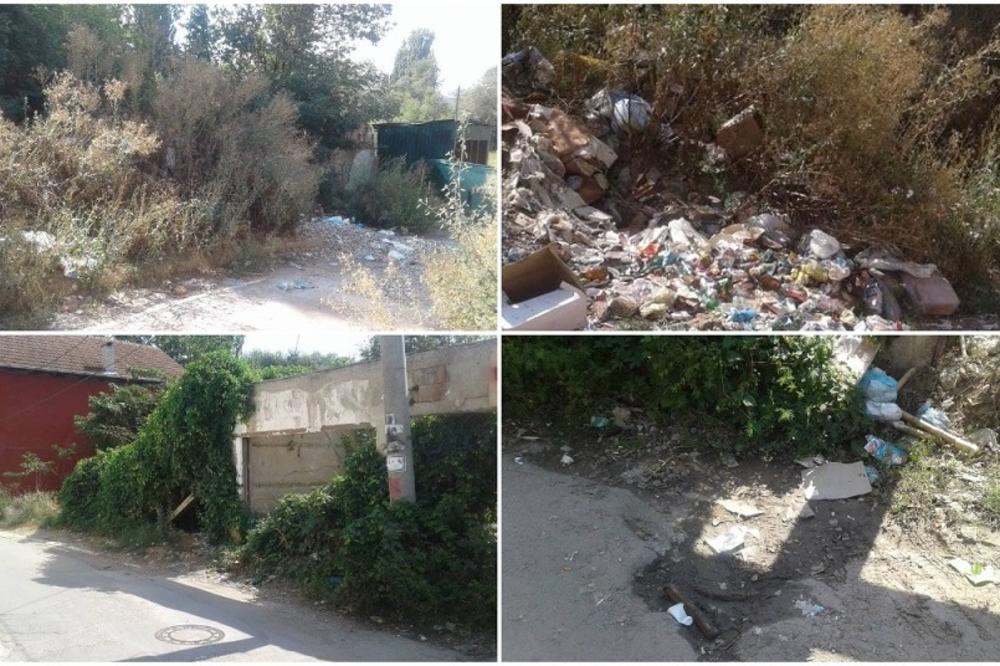 TO SE ZOVE DEPONIJA: Pogledajte kako izgleda SRAMOTNI SOKAK koji nosi ime Olivera Ivanovića! (FOTO)