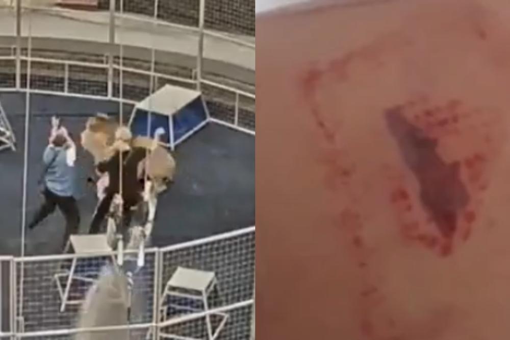 LAV NAPAO KROTITELJE U CIRKUSU: Užasan snimak obilazi svet! (VIDEO)