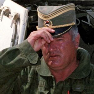 "Ja sam onaj koga tražite!" Ovako je izgledalo hapšenje Ratka Mladića, na stolu su bila dva pištolja i novčanik
