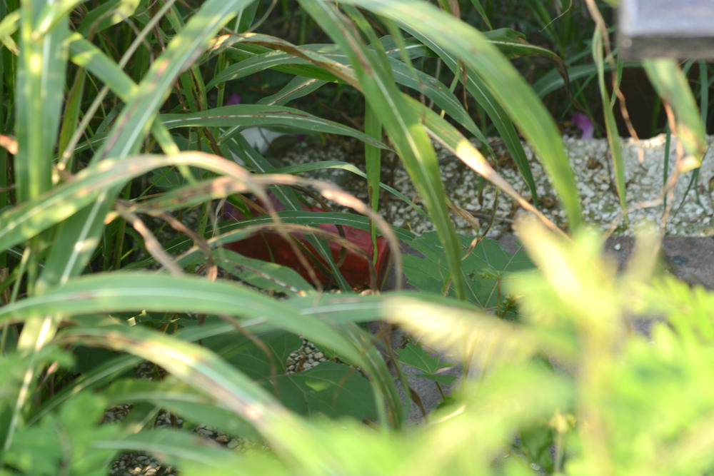 Sveće su oborene, a cveće uvenulo  