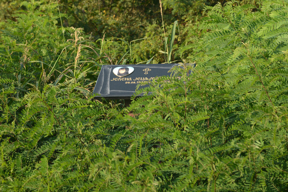 Nemoguće je prići spomen ploča Jeleni Krsmanović   