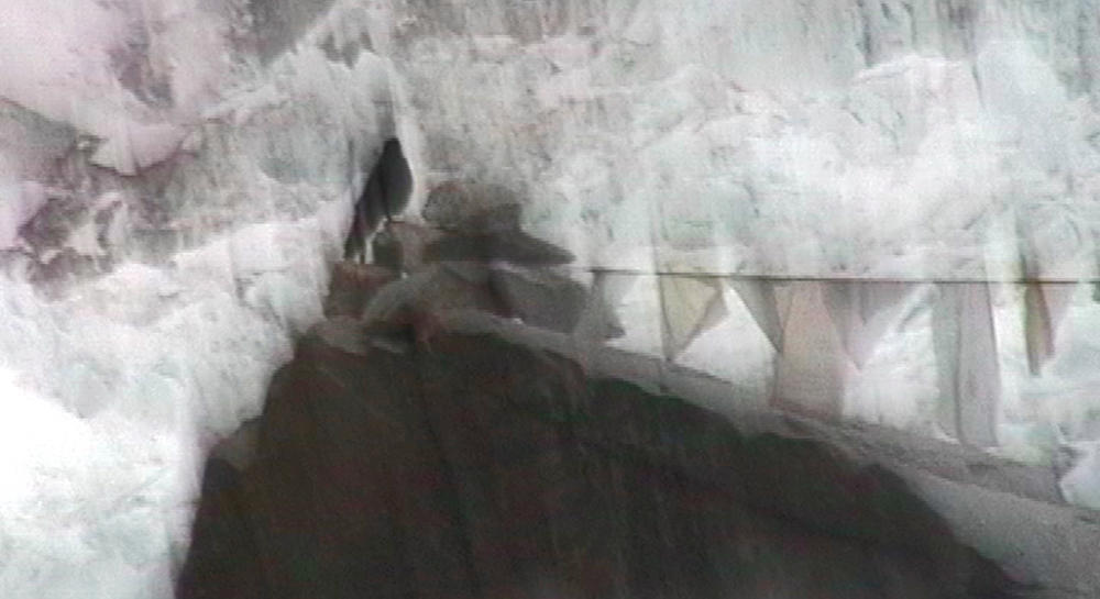 4 godine u 10 minuta, insert  