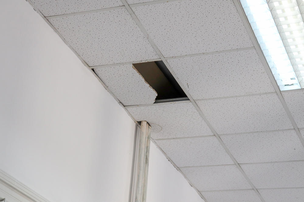 Plafon u osnovnoj školi Vuk Karadžić  