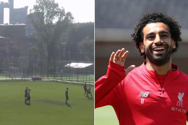 Voziš se autobusom, baciš pogled kroz prozor - kad ono Salah i Firmino trčkaraju novobeogradskom livadicom!