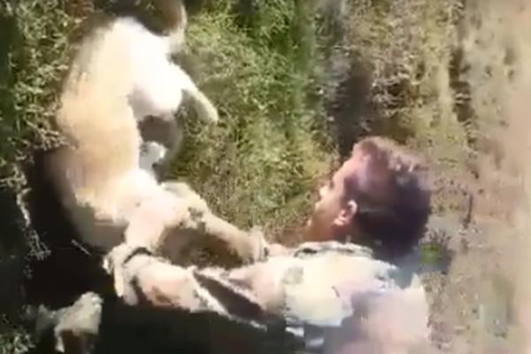 BOŽE, MOLIMO TE DA OVO NISU SRPSKI VOJNICI: Snimljeno jezivo iživljavanje ljudi u uniformama Vojske Srbije nad psima! (VIDEO)