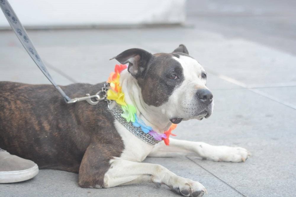 Sve je oduševio svojim stajlingom  