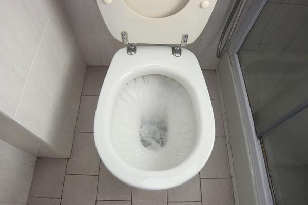 CEO ŽIVOT TO POGREŠNO RADITE: Evo kada ZAISTA treba pustiti vodu u toaletu!