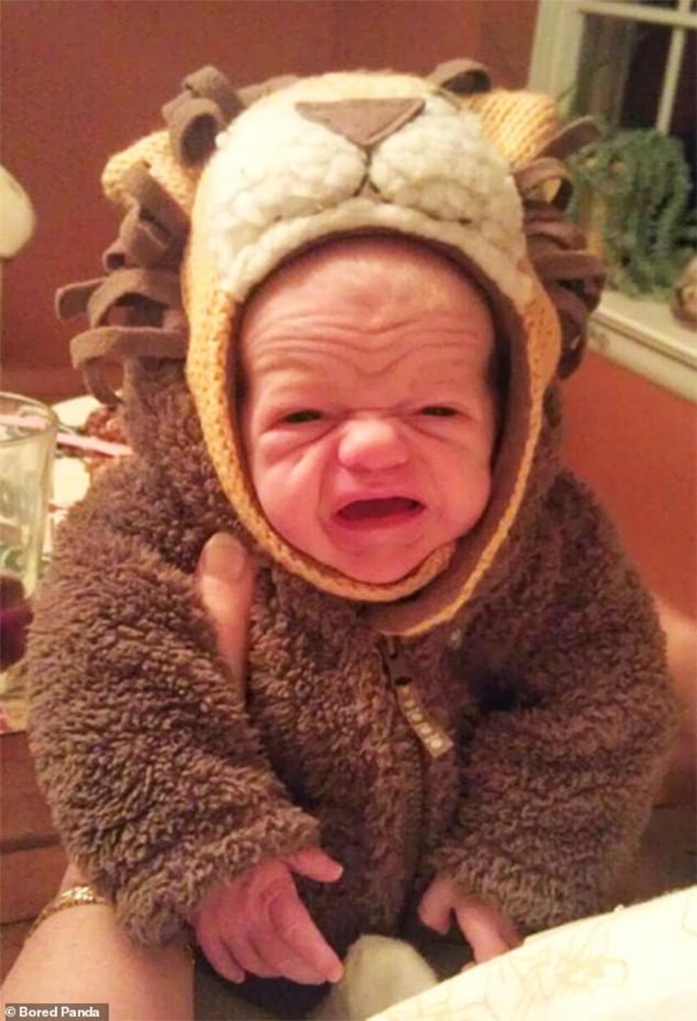 Ovoliko bora nemaju ni starci  